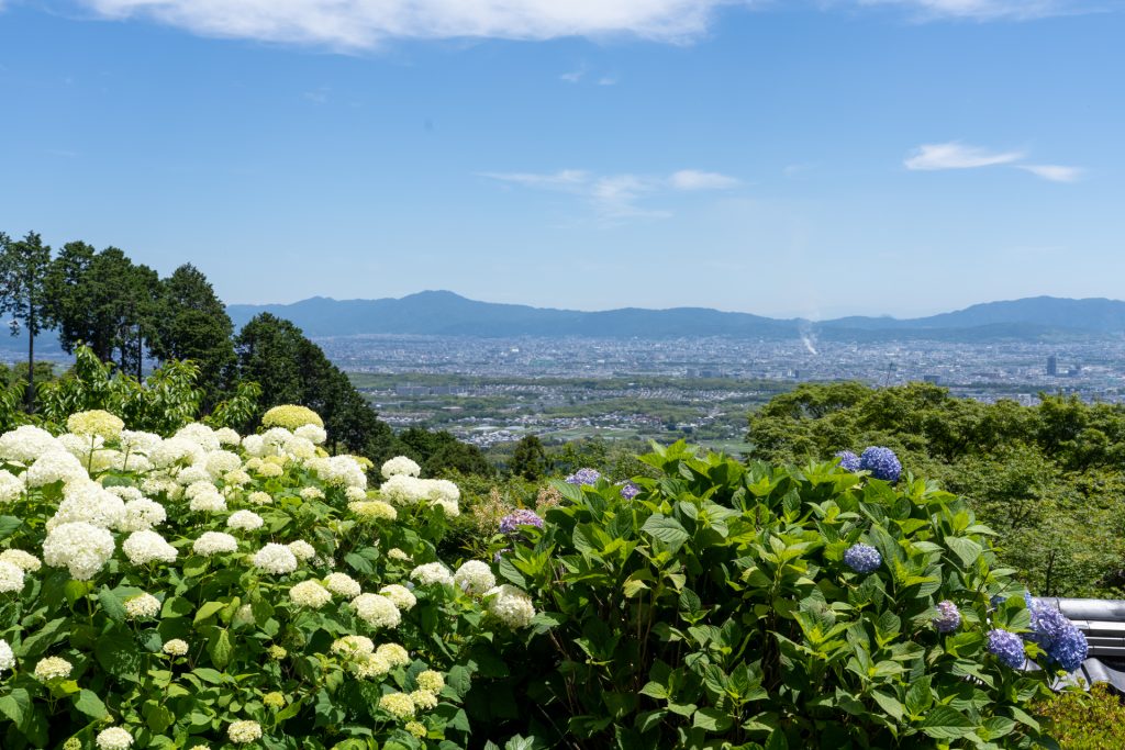 京都市内の眺望