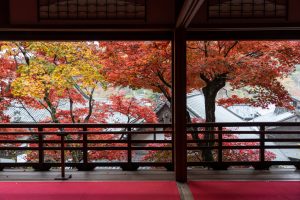 柳谷観音　紅葉
