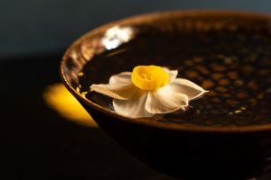 油滴天目に水仙