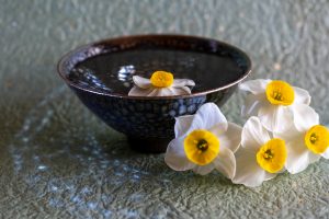 油滴天目と水仙