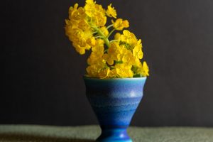 蓮の花