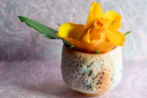 薔薇