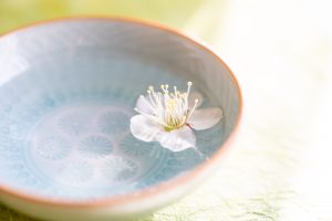 白梅