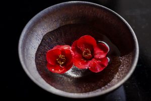 木瓜の花