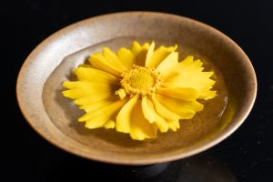オオキンケイギク