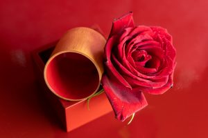 薔薇の花